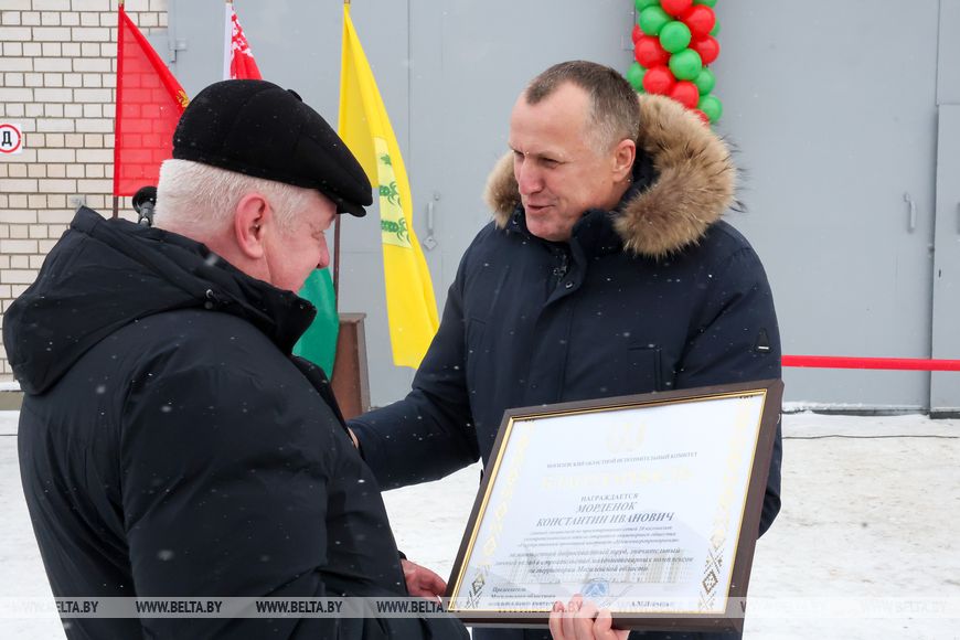Серьезная перезагрузка отрасли: девять новых МТК появилось в Могилевской области в 2025 году