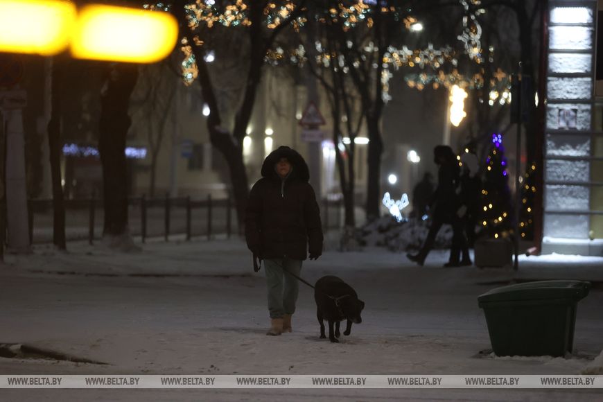 В Бресте начался снегопад: коммунальники перешли на усиленный режим
