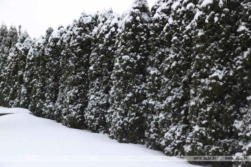 В Бресте при ухудшении погодных условий увеличат число спецтехники для уборки улиц