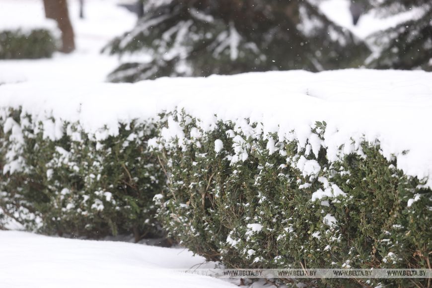 В Бресте при ухудшении погодных условий увеличат число спецтехники для уборки улиц
