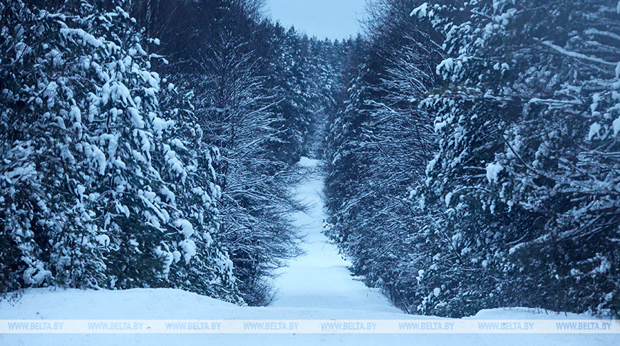Январь напомнил, что такое настоящие зимы. Синоптики о погоде до 18 января