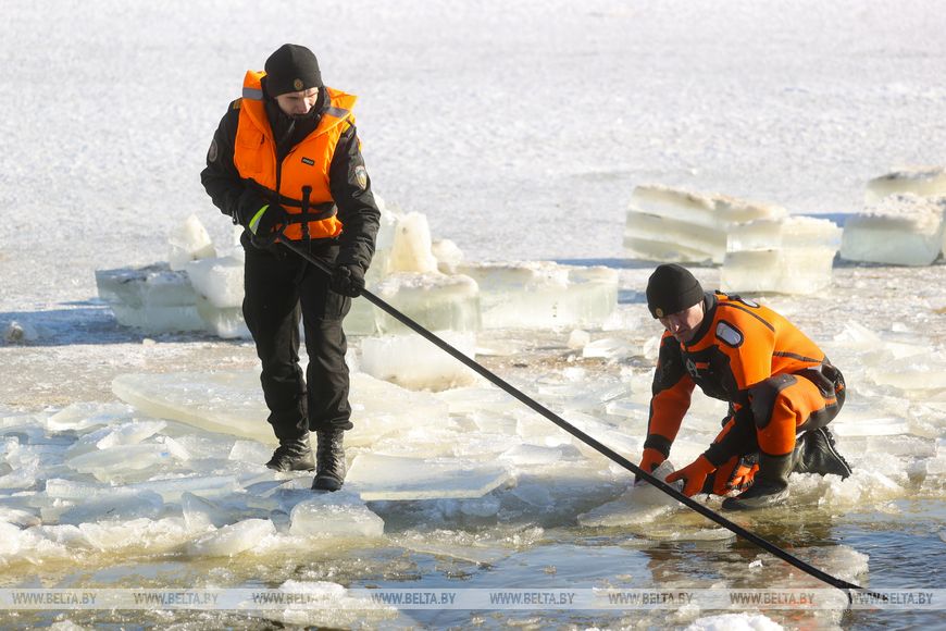 Как брестчане помогают птицам пережить суровую зиму