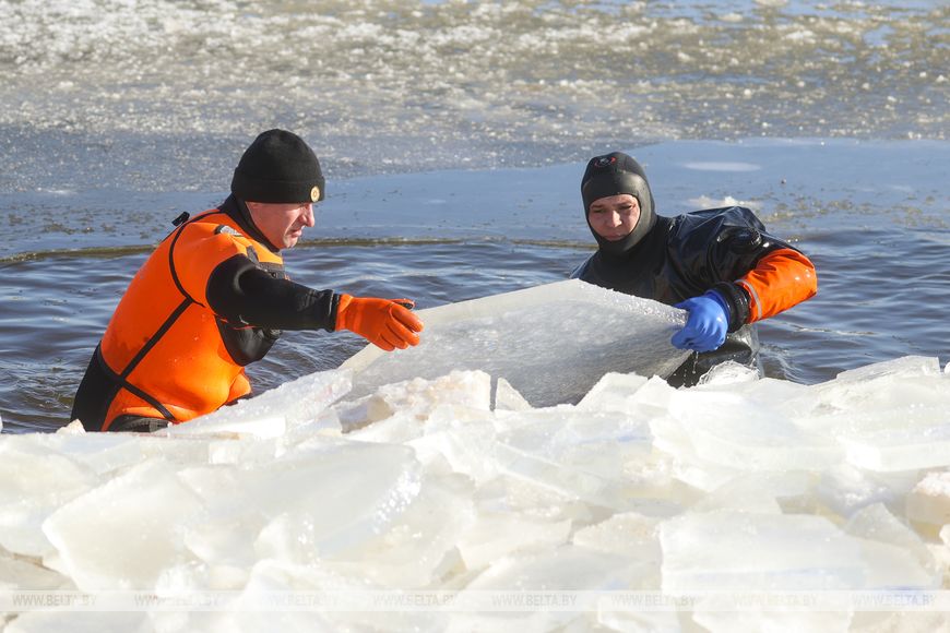 Как брестчане помогают птицам пережить суровую зиму