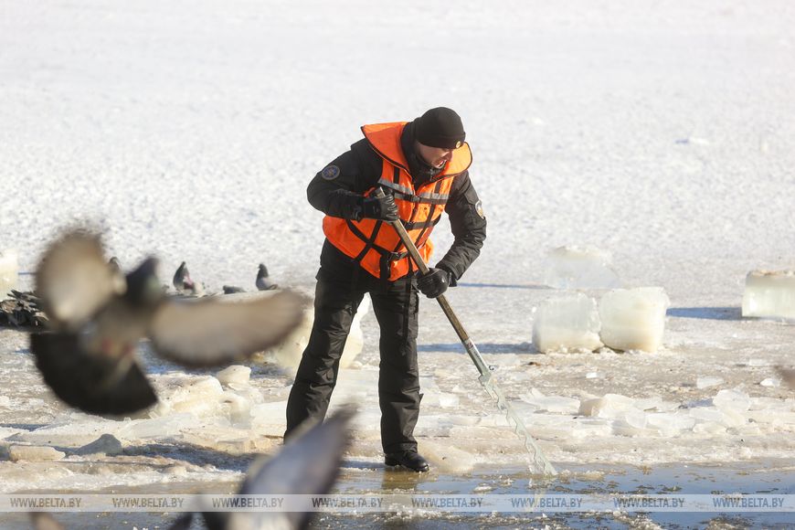 Как брестчане помогают птицам пережить суровую зиму