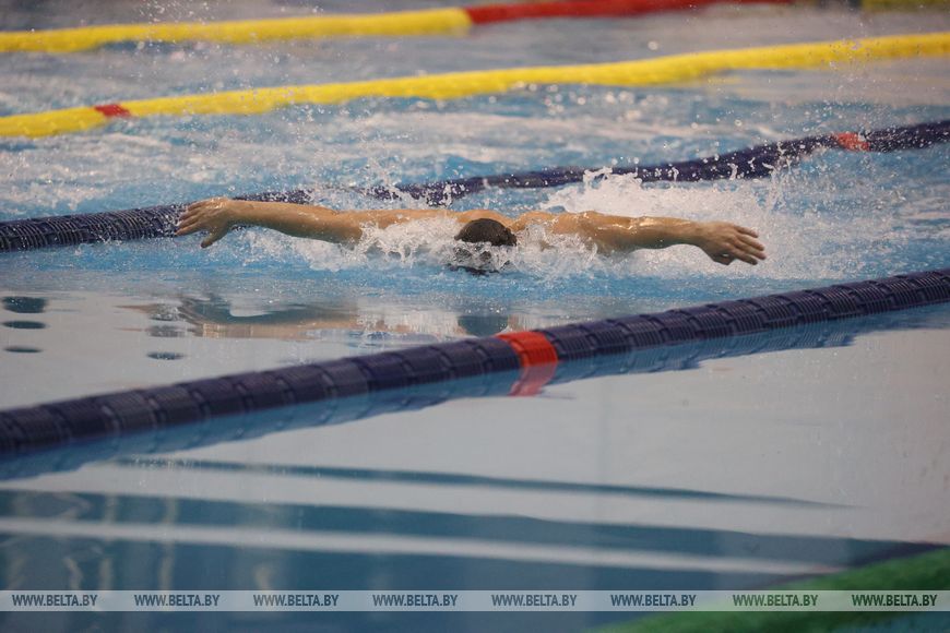 Открытое первенство Беларуси по плаванию среди юниоров проходит в Бресте