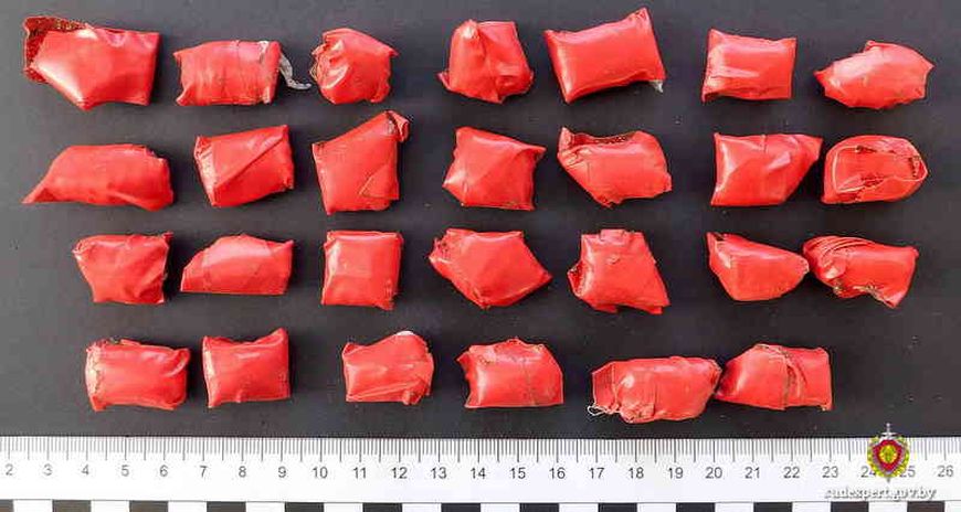 Наркокурьер в Могилеве при задержании разбил телефон, информацию из гаджета извлекли эксперты