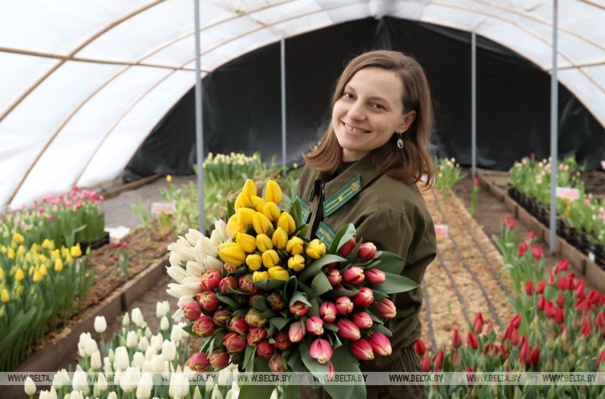 Более 15 тыс. луковиц тюльпанов высадили лесоводы Петриковского лесхоза в нынешнем сезоне