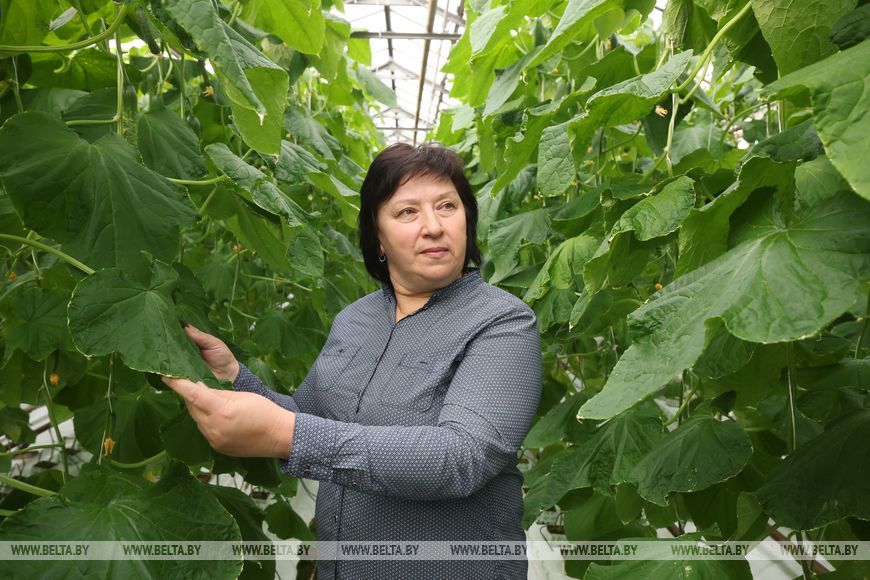 как растят урожай