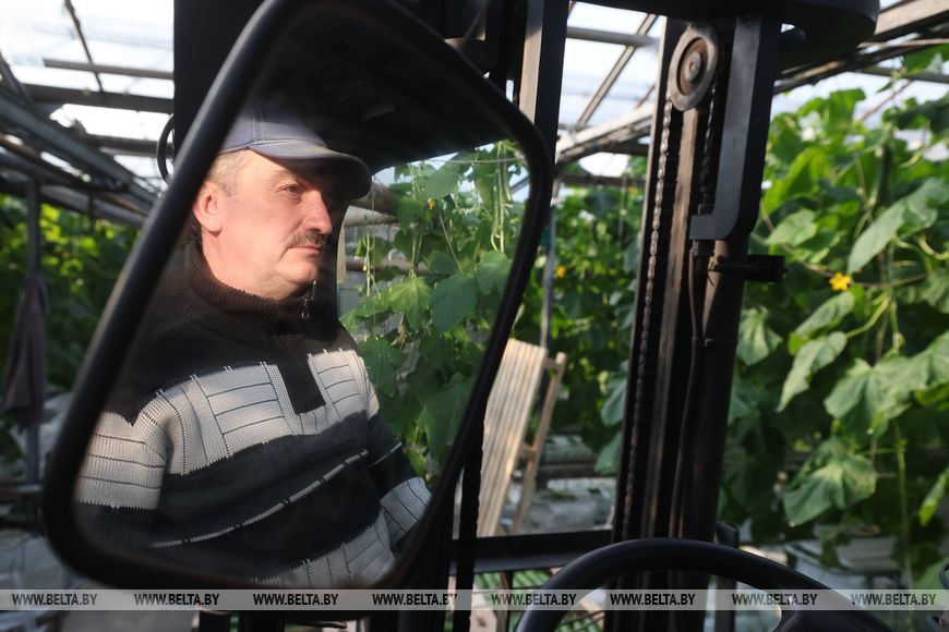 как растят урожай