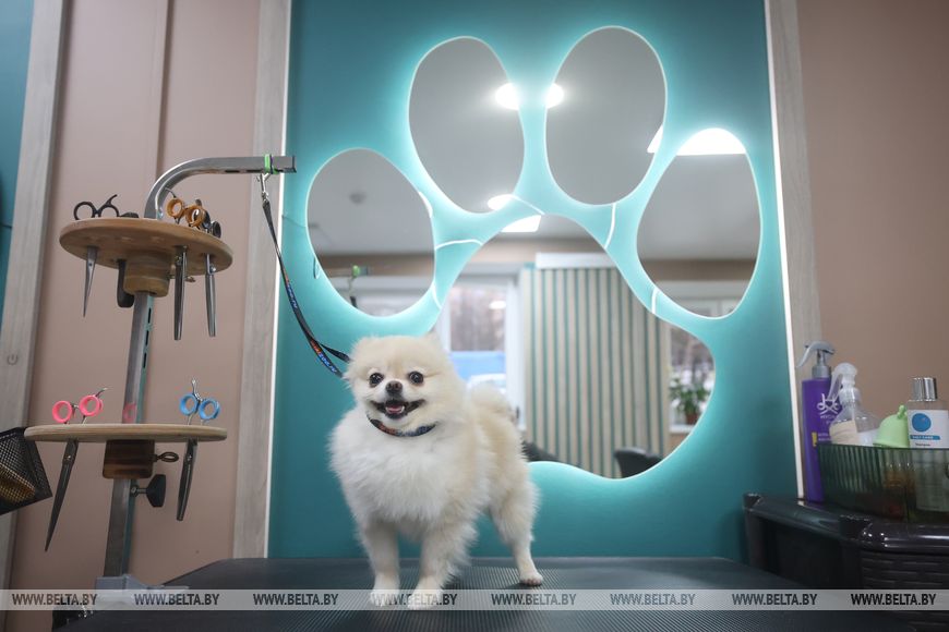 школьник из Гродно