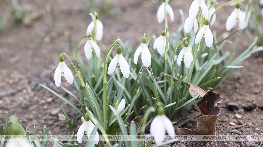 Ждать ли дождей? В Белгидромете рассказали о погоде на текущую неделю