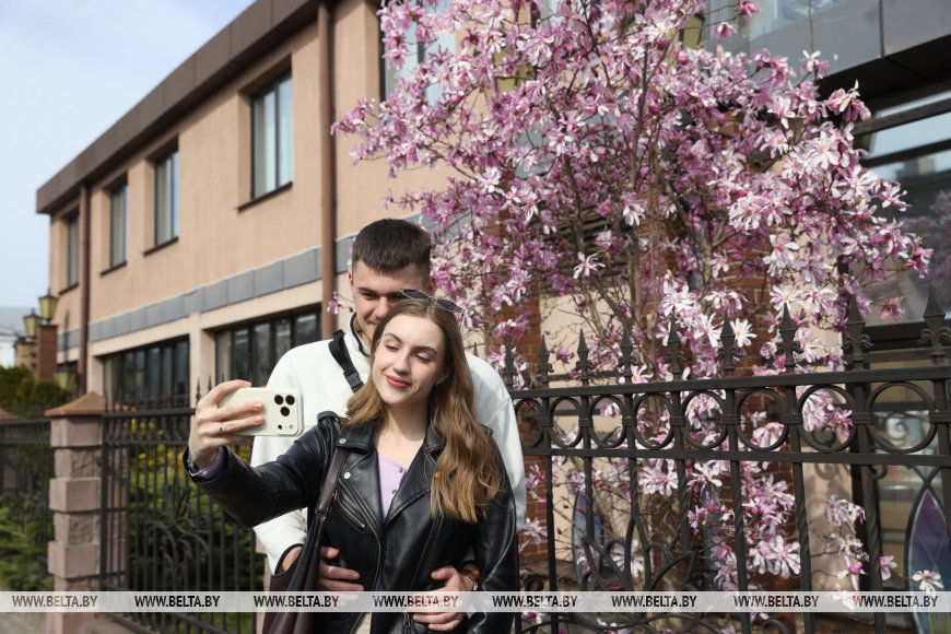 В Бресте раньше времени распустилась магнолия