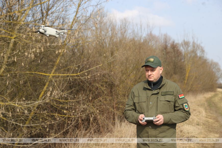 В Брестской области в марте произошло более 120 загораний травы и кустарников