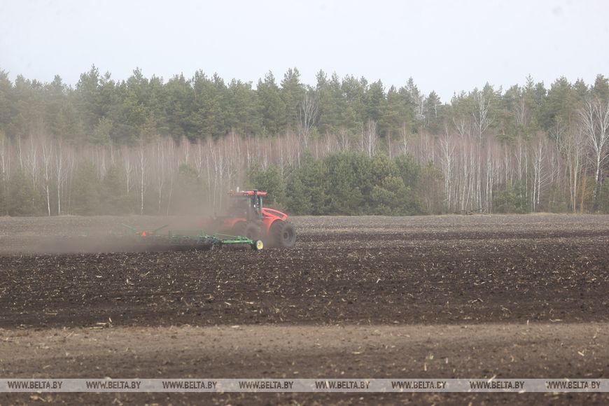 Личный кабинет в кабине трактора и ролики в TikTok. Аграрии Брестской области рассказали о буднях посевной