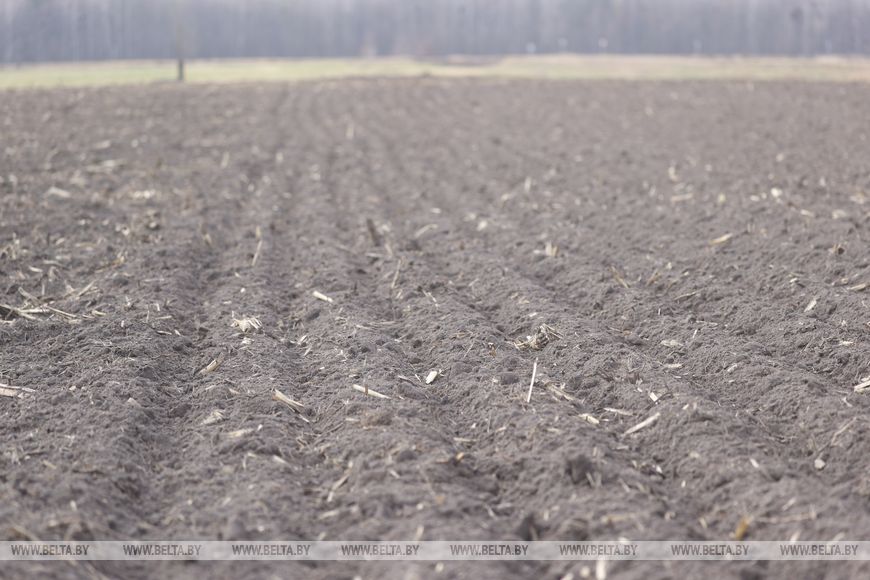 Личный кабинет в кабине трактора и ролики в TikTok. Аграрии Брестской области рассказали о буднях посевной