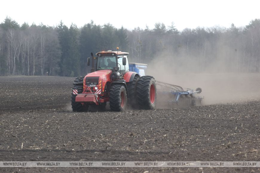Личный кабинет в кабине трактора и ролики в TikTok. Аграрии Брестской области рассказали о буднях посевной