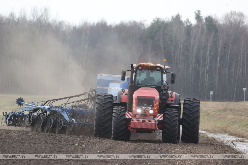 Личный кабинет в кабине трактора и ролики в TikTok. Аграрии Брестской области рассказали о буднях посевной