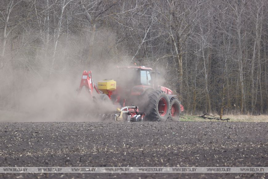 Личный кабинет в кабине трактора и ролики в TikTok. Аграрии Брестской области рассказали о буднях посевной