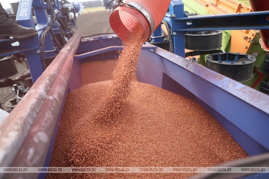 Личный кабинет в кабине трактора и ролики в TikTok. Аграрии Брестской области рассказали о буднях посевной