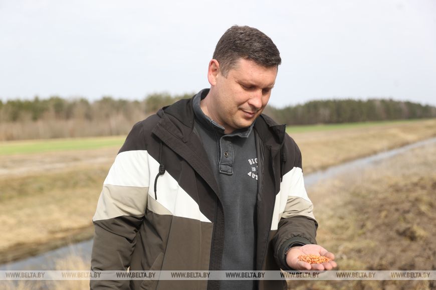 Личный кабинет в кабине трактора и ролики в TikTok. Аграрии Брестской области рассказали о буднях посевной