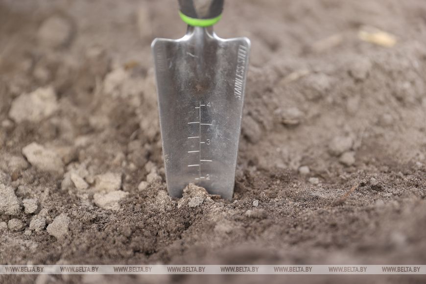 Личный кабинет в кабине трактора и ролики в TikTok. Аграрии Брестской области рассказали о буднях посевной