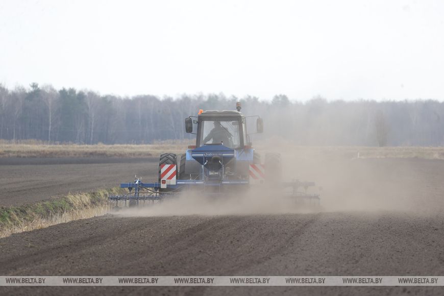 Личный кабинет в кабине трактора и ролики в TikTok. Аграрии Брестской области рассказали о буднях посевной