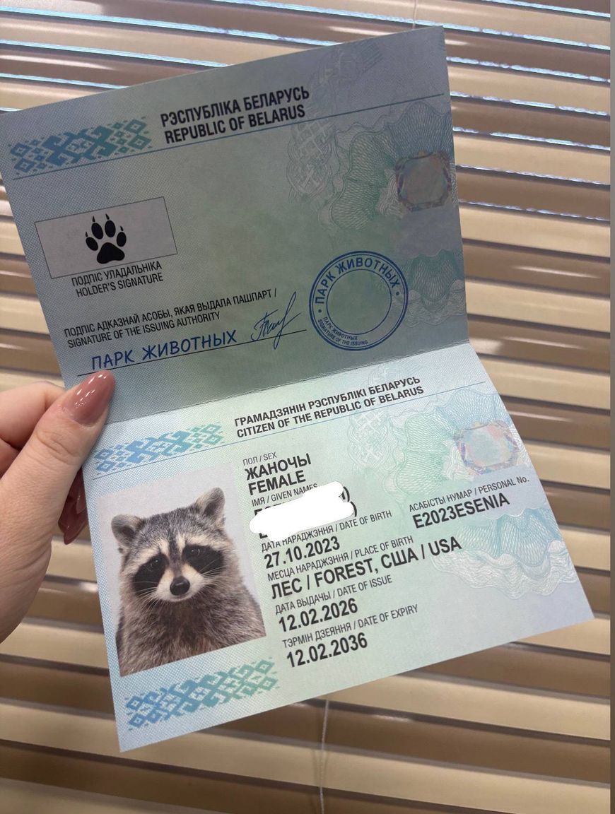 Как Сеня стал Есенией. Еноту из США, который оказался девочкой, оформили паспорт