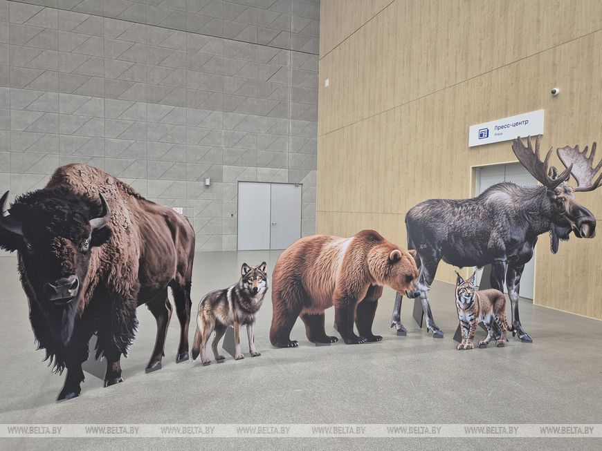 Байдарочный маршрут, контактный зоопарк: какие новинки готовит нацпарк Беловежская пуща
