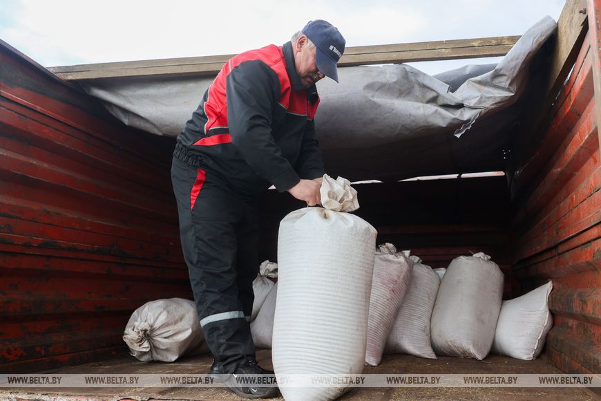 В Лунинецком районе завершили сев зерновых и приступили к травам
