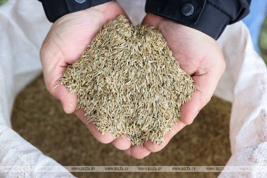 В Лунинецком районе завершили сев зерновых и приступили к травам