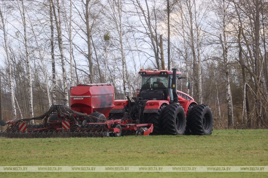 В Лунинецком районе завершили сев зерновых и приступили к травам