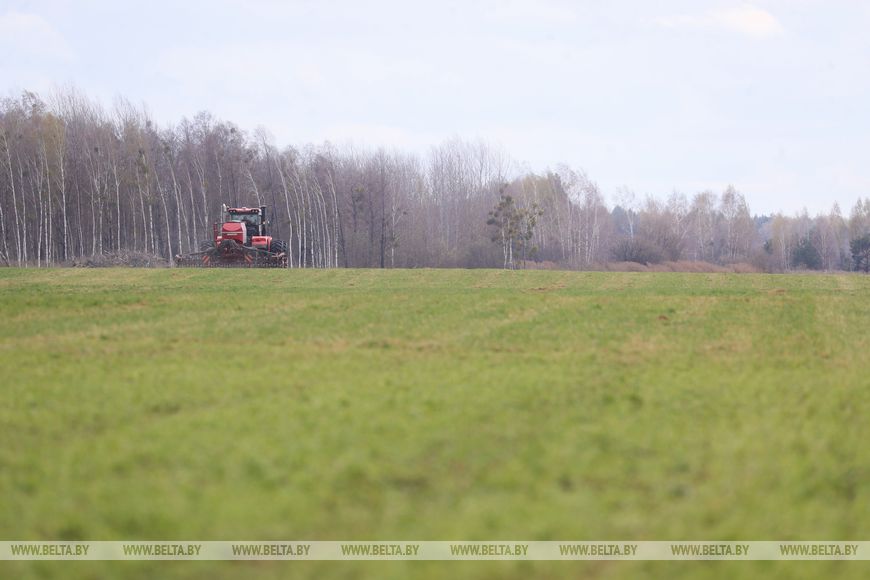 В Лунинецком районе завершили сев зерновых и приступили к травам