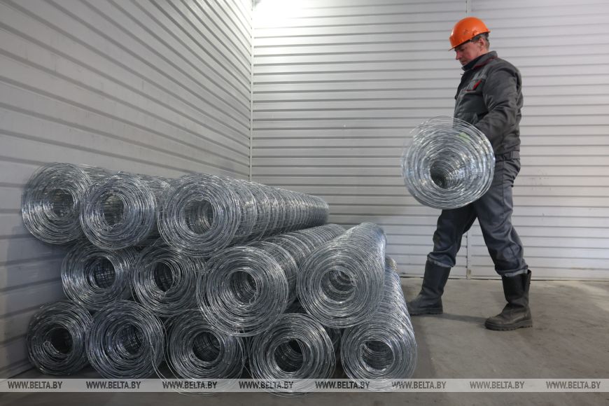 Ограничение скорости, ограждение сеткой. Что делают в Беларуси для снижения количества ДТП с дикими животными