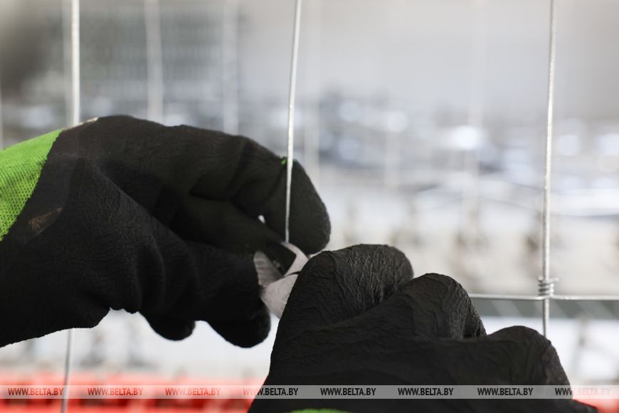 как в Беларуси борются