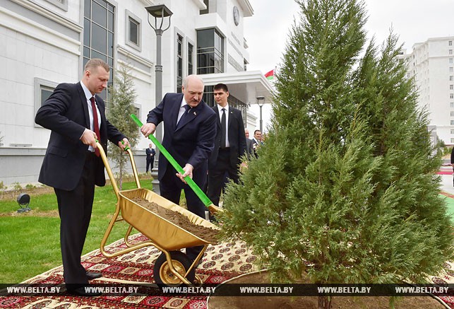 Александр Лукашенко во время церемонии посадки дерева на территории посольства