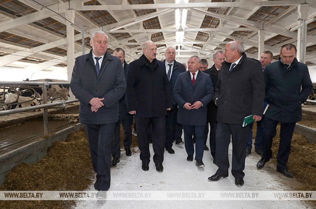 Во время посещения животноводческого комплекса сельскохозяйственного цеха "Гайна" Минского тракторного завода