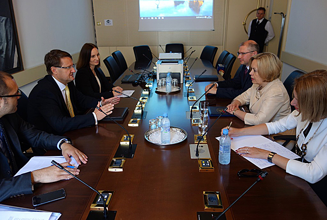 Во время встречи Елены Купчиной с Томажем Ловренчичем. Фото МИД