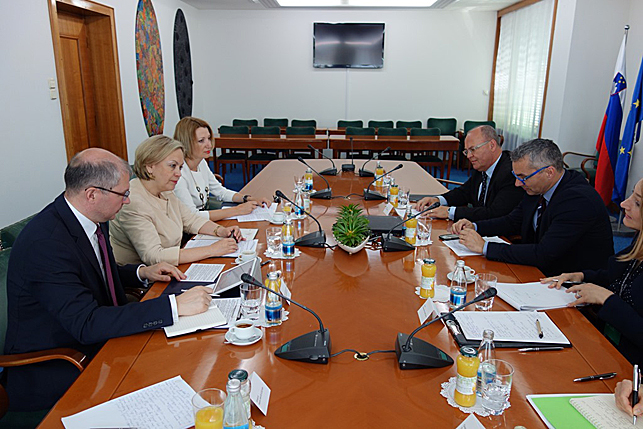 Во время встречи Елены Купчиной с Марко Ферлугой и Йожефом Хорватом. Фото МИД