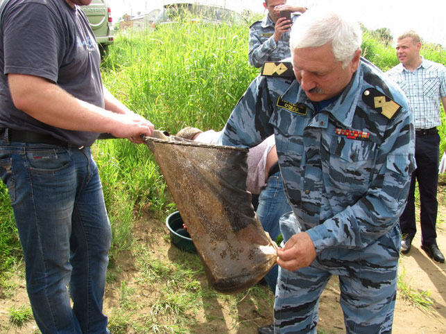 Фото Государственной инспекции охраны животного и растительного мира при Президенте Беларуси