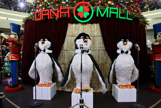 Три пингвина, как оказалось, умеют петь!