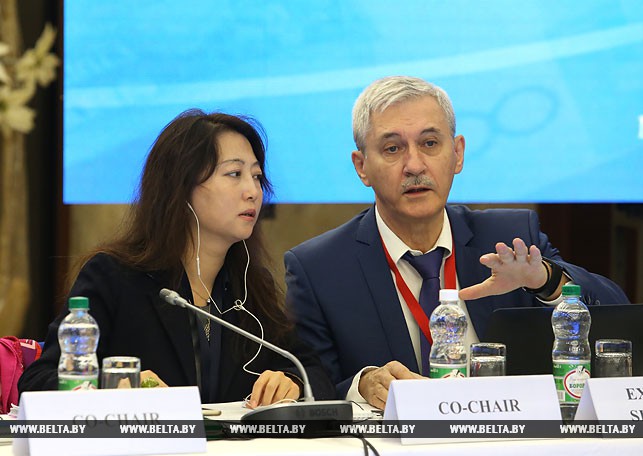 Сопредседатель рабочей группы ЕАГ Мей Цзяо и исполнительный секретарь ЕАГ Владимир Нечаев