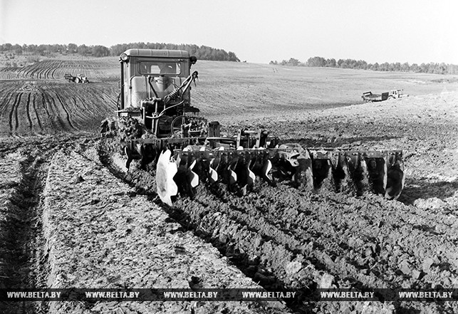 Дискование почвы на полях колхоза "Прогресс" Гродненской области. 1973 год