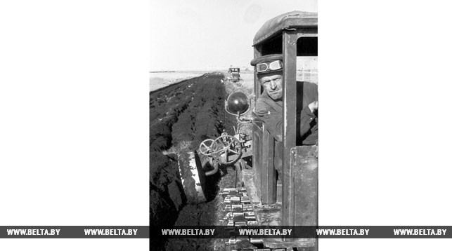 Тракторист Жлобинской лугомелиоративной станции вспахивает болотным плугом осушенный участок. Август 1951 года