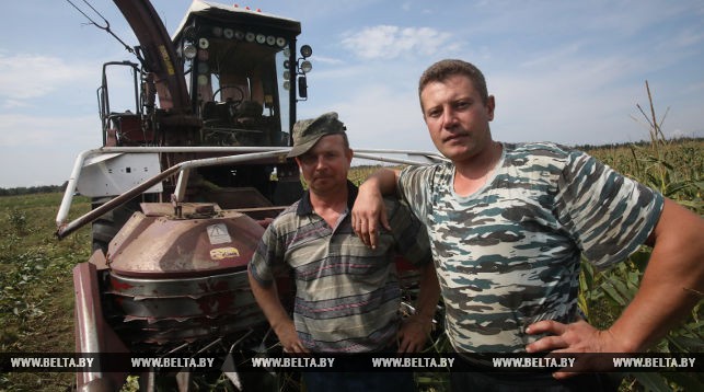 Комбайнёр Олег Пискун и тракторист Сергей Дикан (слева направо)