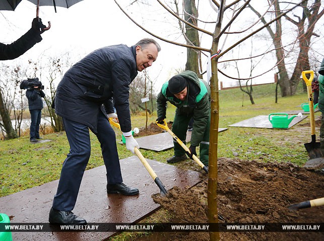 Председатель БелТПП Владимир Улахович садит дерево