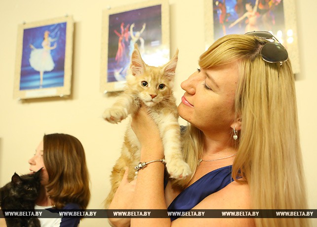 Оксана Самаркина и кот Дионис во время кастинга