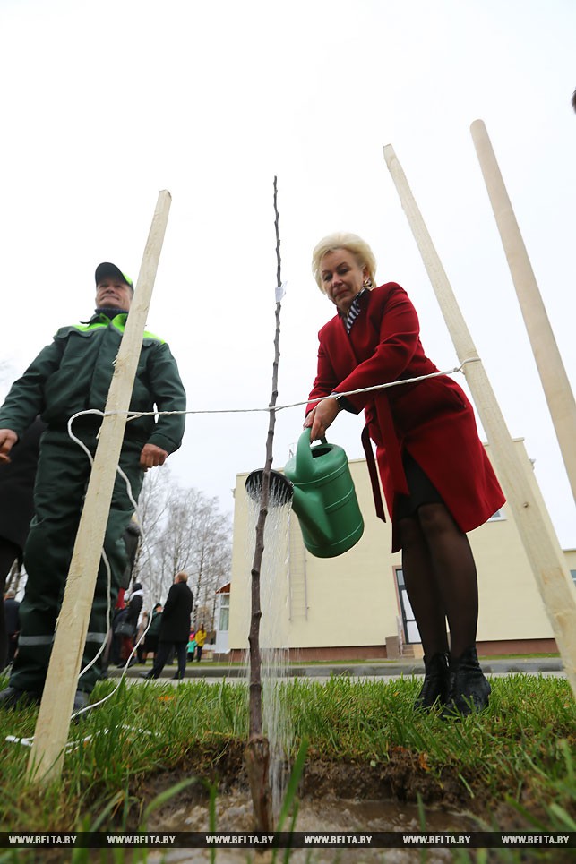 Министр труда и социальной защиты Республики Беларусь Ирина Костевич поливает саженец яблони.