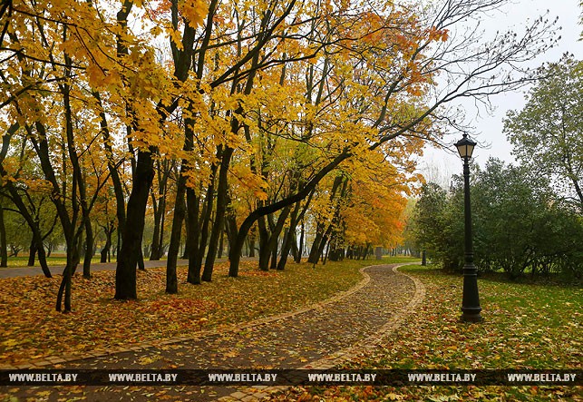 Лошицкий парк осенью. Фото из архива