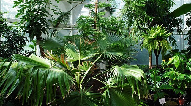 Фото Центрального ботанического сада НАН Беларуси