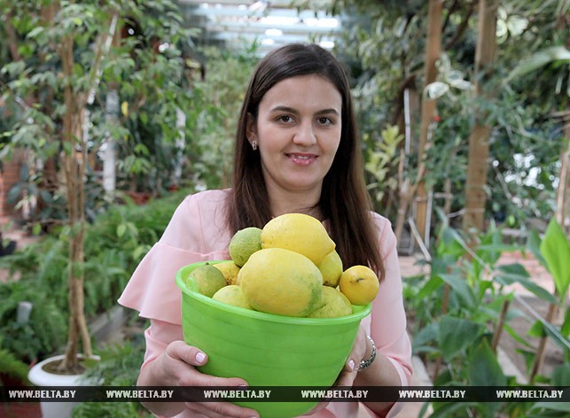 Лариса Иванова с урожаем лимонов